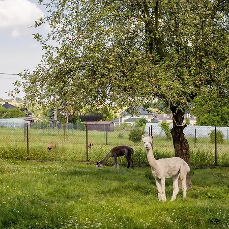 Eko Na Wierzynka & Park Pinokia 3*
