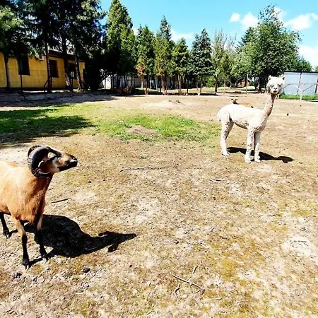 Eko Na Wierzynka & Park Pinokia 3* Groß Salze